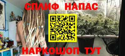 jwh Камышлов