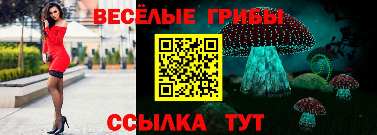 Псилоцибиновые грибы прущие грибы  Псилоцибиновые грибы Psilocybe  купить наркотик  Краснознаменск  Вход с VPN 